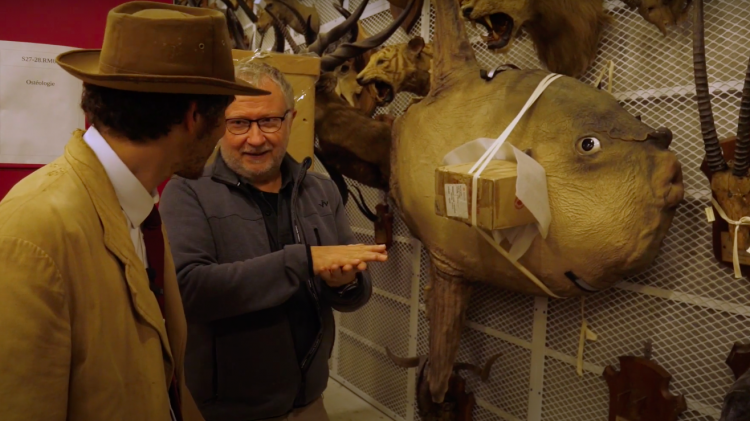 vlipp - Les fantastiques animaux de la réserve du Muséum d’Histoire Naturelle