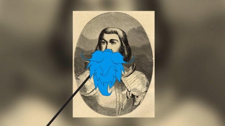 vlipp - Barbe Bleue de Retz