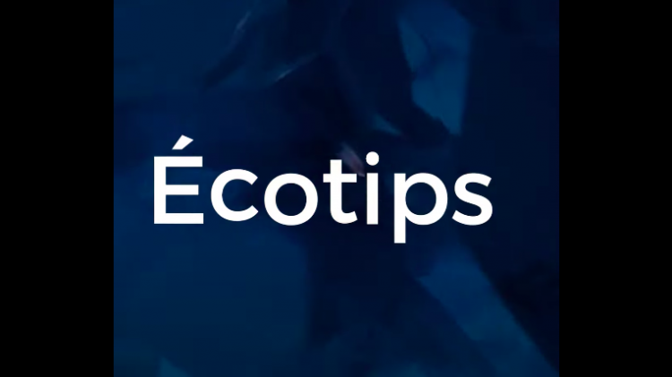 vlipp - Ecotips